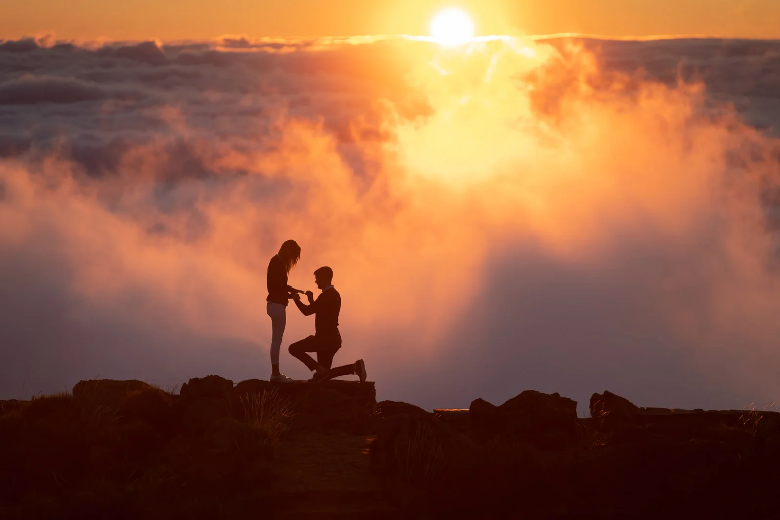 Engagement Proposal